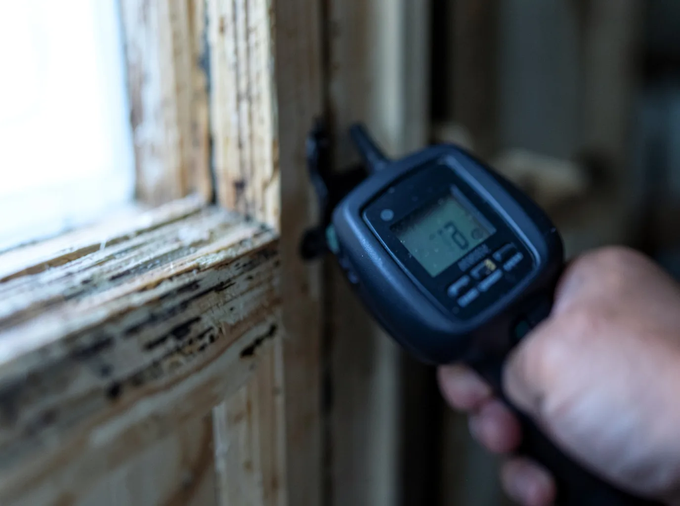 Commercial Water Damage Restoration in Wofford Heights, CA